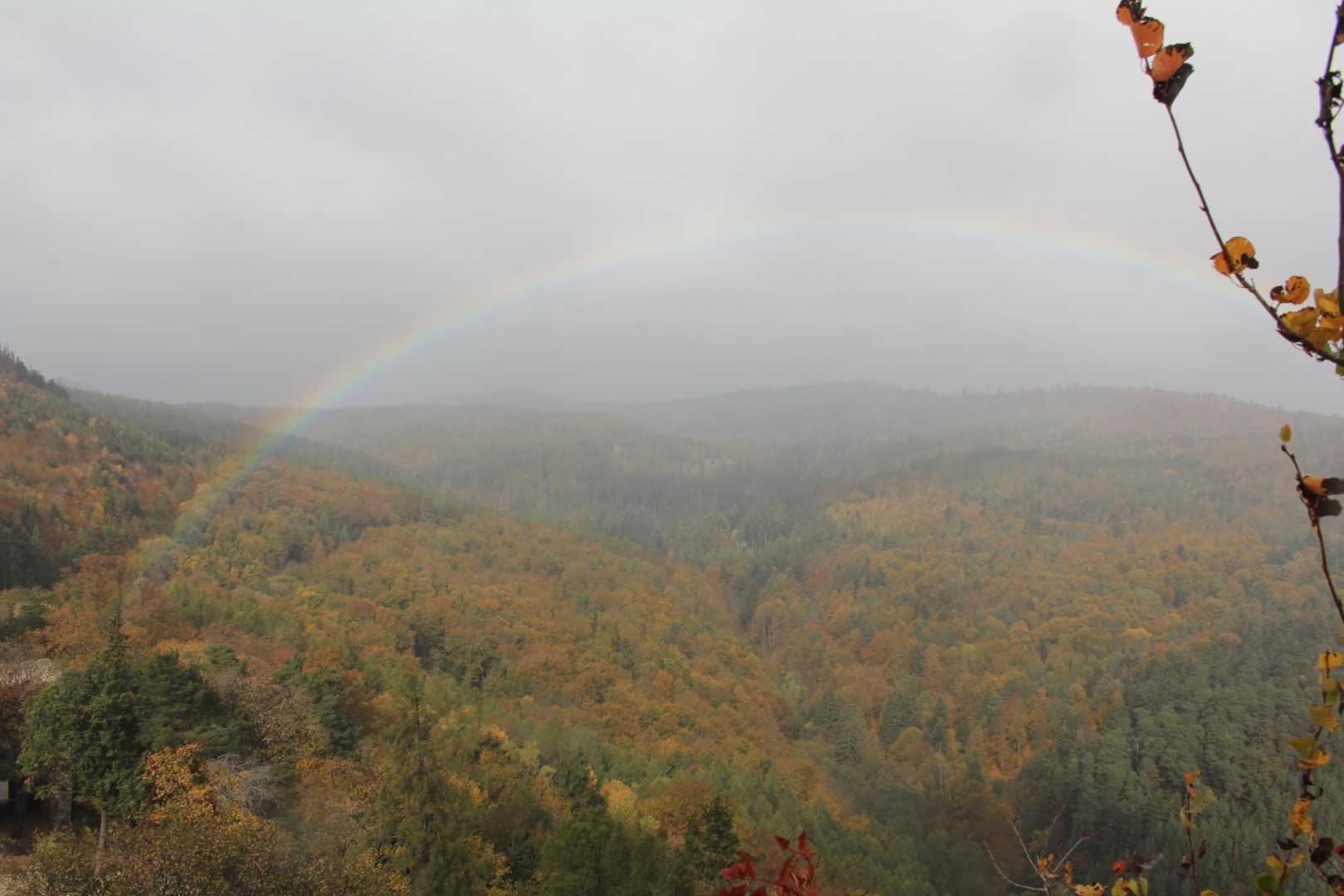 2018-10-21 Herbstausfahrt